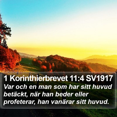 1 Korinthierbrevet 11:4 SV1917 Bible Verse Image
