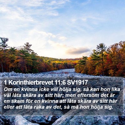 1 Korinthierbrevet 11:6 SV1917 Bible Verse Image