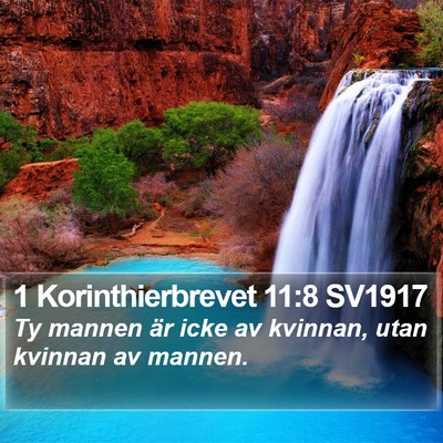 1 Korinthierbrevet 11:8 SV1917 Bible Verse Image