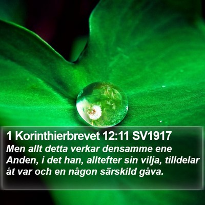 1 Korinthierbrevet 12:11 SV1917 Bible Verse Image