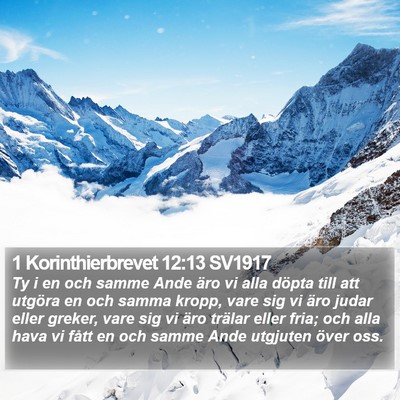 1 Korinthierbrevet 12:13 SV1917 Bible Verse Image