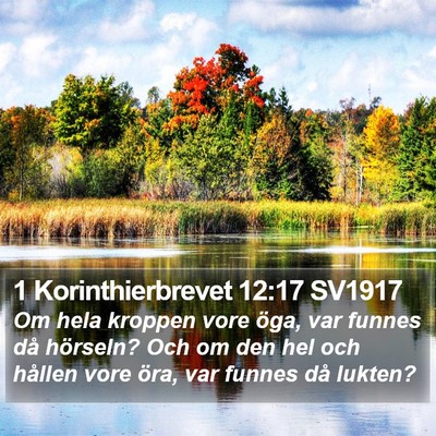 1 Korinthierbrevet 12:17 SV1917 Bible Verse Image