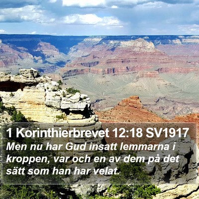 1 Korinthierbrevet 12:18 SV1917 Bible Verse Image