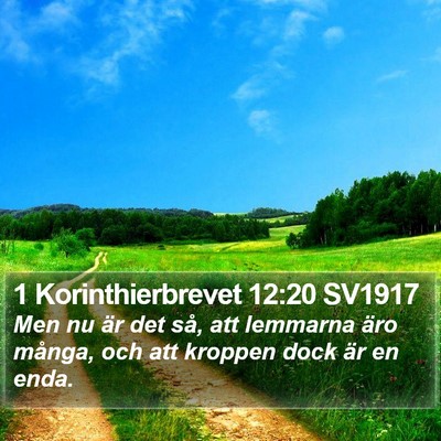1 Korinthierbrevet 12:20 SV1917 Bible Verse Image