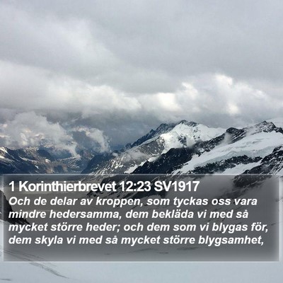 1 Korinthierbrevet 12:23 SV1917 Bible Verse Image