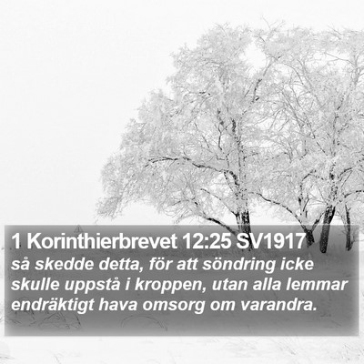 1 Korinthierbrevet 12:25 SV1917 Bible Verse Image