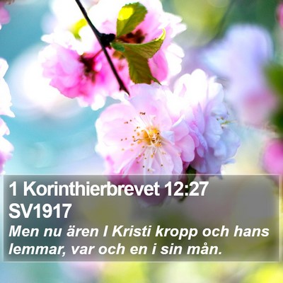 1 Korinthierbrevet 12:27 SV1917 Bible Verse Image