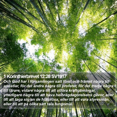 1 Korinthierbrevet 12:28 SV1917 Bible Verse Image