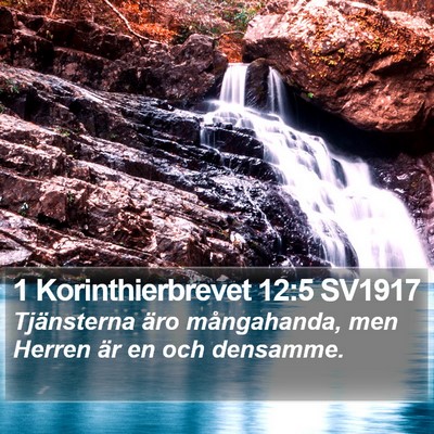 1 Korinthierbrevet 12:5 SV1917 Bible Verse Image