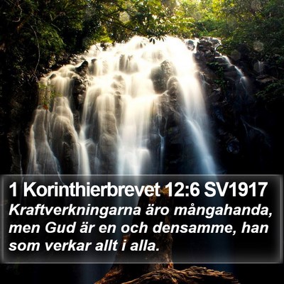 1 Korinthierbrevet 12:6 SV1917 Bible Verse Image