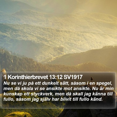 1 Korinthierbrevet 13:12 SV1917 Bible Verse Image