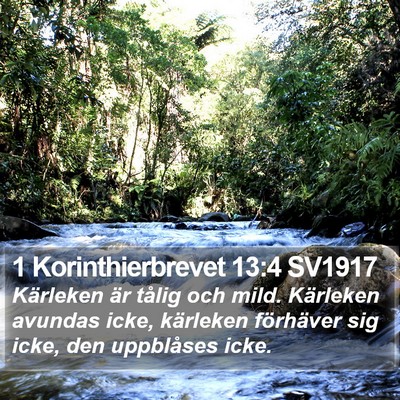 1 Korinthierbrevet 13:4 SV1917 Bible Verse Image