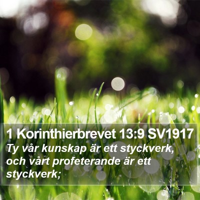 1 Korinthierbrevet 13:9 SV1917 Bible Verse Image