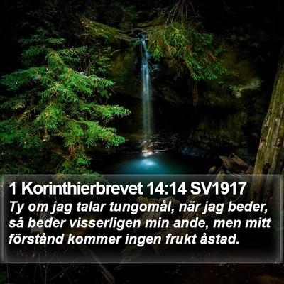 1 Korinthierbrevet 14:14 SV1917 Bible Verse Image