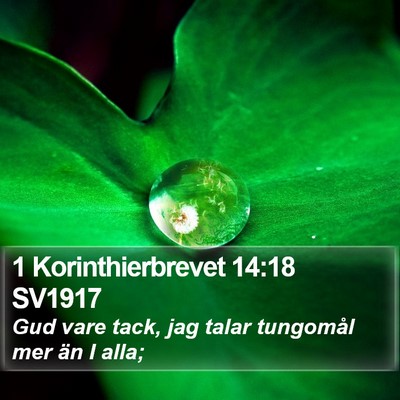 1 Korinthierbrevet 14:18 SV1917 Bible Verse Image