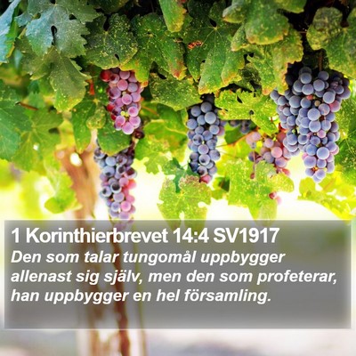 1 Korinthierbrevet 14:4 SV1917 Bible Verse Image