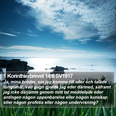 1 Korinthierbrevet 14:6 SV1917 Bible Verse Image