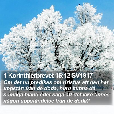 1 Korinthierbrevet 15:12 SV1917 Bible Verse Image