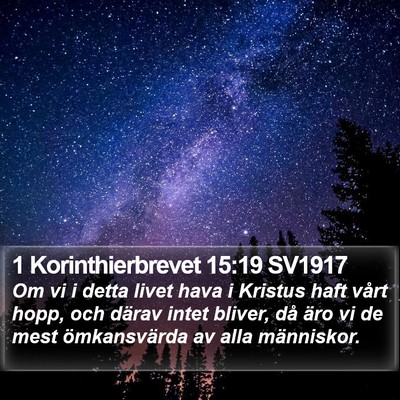 1 Korinthierbrevet 15:19 SV1917 Bible Verse Image