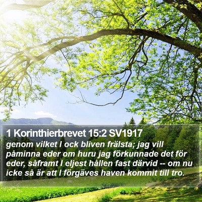 1 Korinthierbrevet 15:2 SV1917 Bible Verse Image
