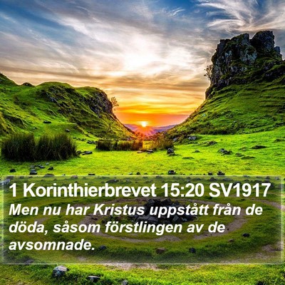 1 Korinthierbrevet 15:20 SV1917 Bible Verse Image