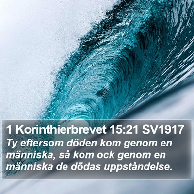 1 Korinthierbrevet 15:21 SV1917 Bible Verse Image