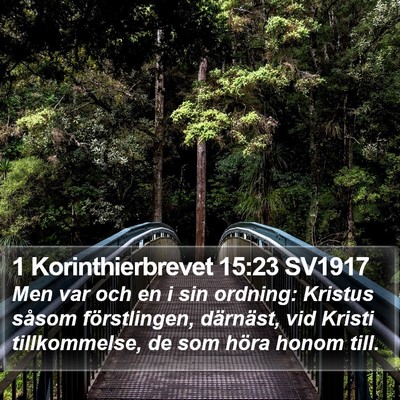1 Korinthierbrevet 15:23 SV1917 Bible Verse Image