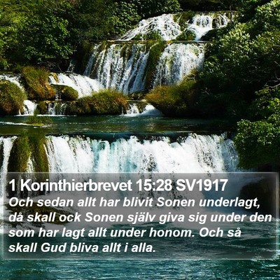 1 Korinthierbrevet 15:28 SV1917 Bible Verse Image