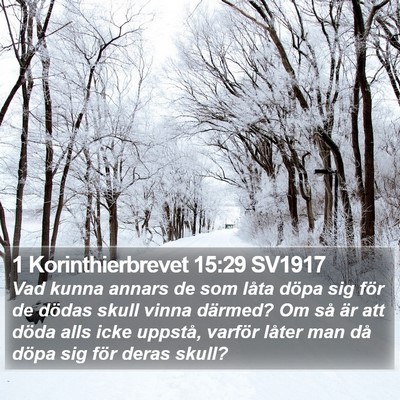 1 Korinthierbrevet 15:29 SV1917 Bible Verse Image