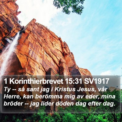 1 Korinthierbrevet 15:31 SV1917 Bible Verse Image