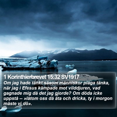 1 Korinthierbrevet 15:32 SV1917 Bible Verse Image