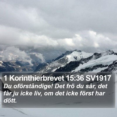 1 Korinthierbrevet 15:36 SV1917 Bible Verse Image