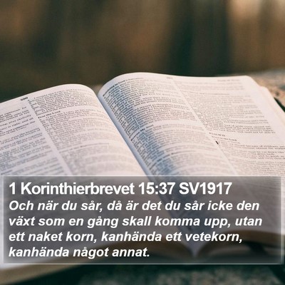 1 Korinthierbrevet 15:37 SV1917 Bible Verse Image