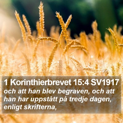 1 Korinthierbrevet 15:4 SV1917 Bible Verse Image