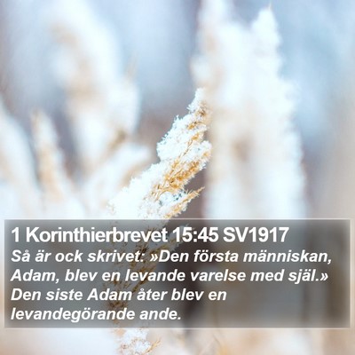 1 Korinthierbrevet 15:45 SV1917 Bible Verse Image