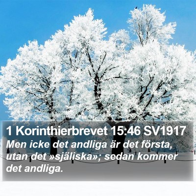 1 Korinthierbrevet 15:46 SV1917 Bible Verse Image