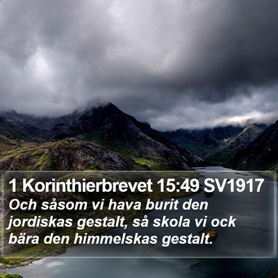 1 Korinthierbrevet 15:49 SV1917 Bible Verse Image