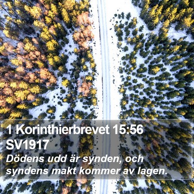 1 Korinthierbrevet 15:56 SV1917 Bible Verse Image