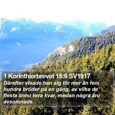 1 Korinthierbrevet 15:6 SV1917 Bible Verse Image