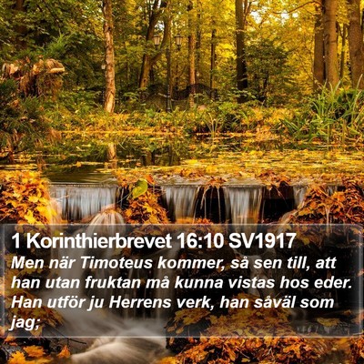1 Korinthierbrevet 16:10 SV1917 Bible Verse Image