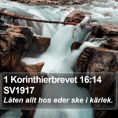 1 Korinthierbrevet 16:14 SV1917 Bible Verse Image