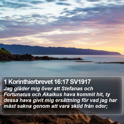 1 Korinthierbrevet 16:17 SV1917 Bible Verse Image