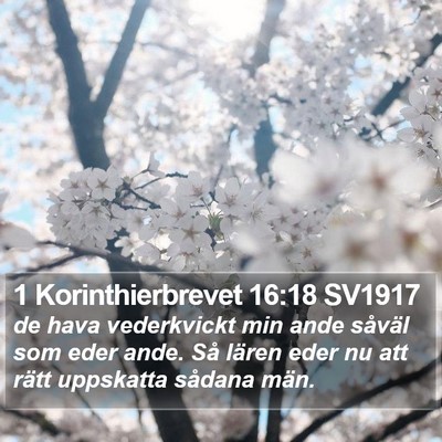 1 Korinthierbrevet 16:18 SV1917 Bible Verse Image