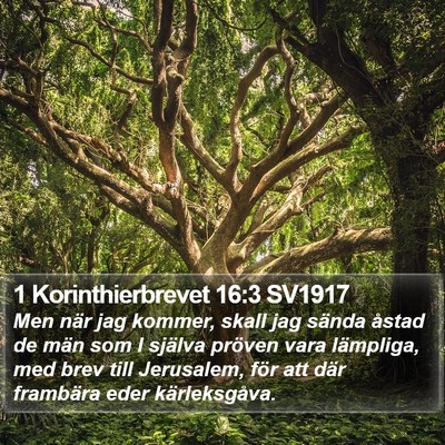 1 Korinthierbrevet 16:3 SV1917 Bible Verse Image