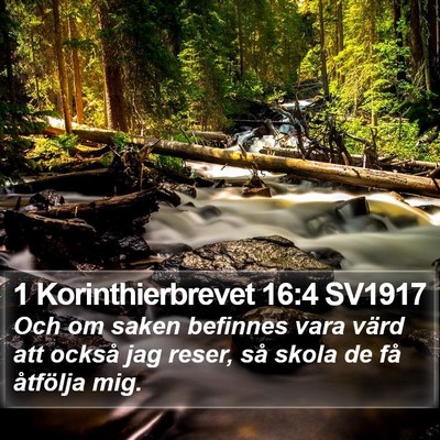 1 Korinthierbrevet 16:4 SV1917 Bible Verse Image