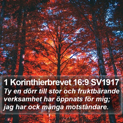 1 Korinthierbrevet 16:9 SV1917 Bible Verse Image