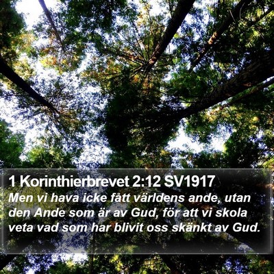 1 Korinthierbrevet 2:12 SV1917 Bible Verse Image