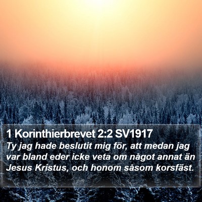 1 Korinthierbrevet 2:2 SV1917 Bible Verse Image