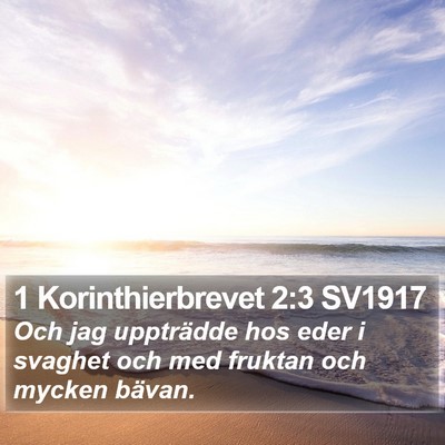 1 Korinthierbrevet 2:3 SV1917 Bible Verse Image