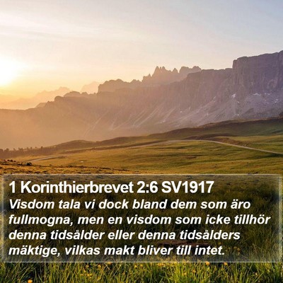 1 Korinthierbrevet 2:6 SV1917 Bible Verse Image